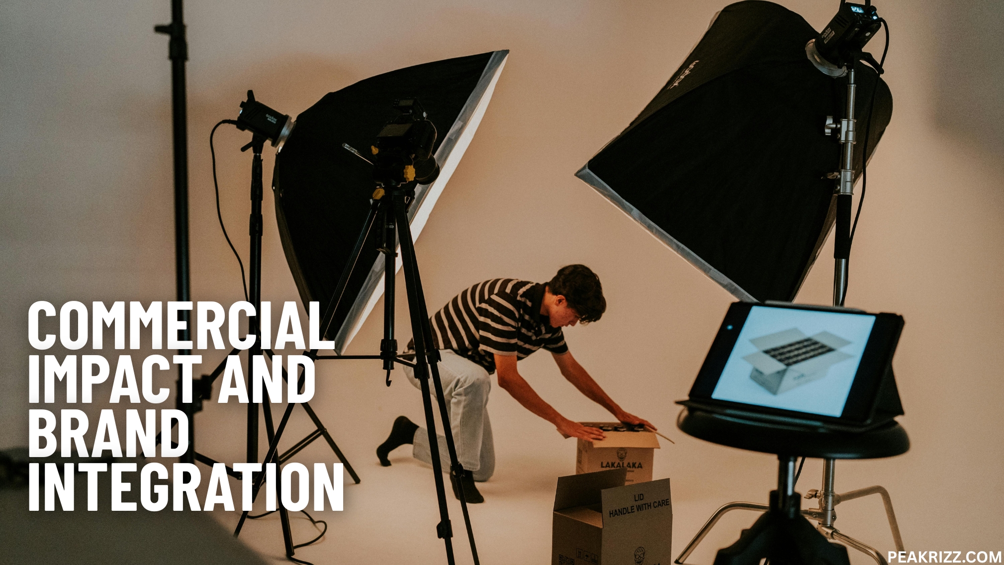 Commercial Impact and Brand Integration Commercial Impact and Brand Integration