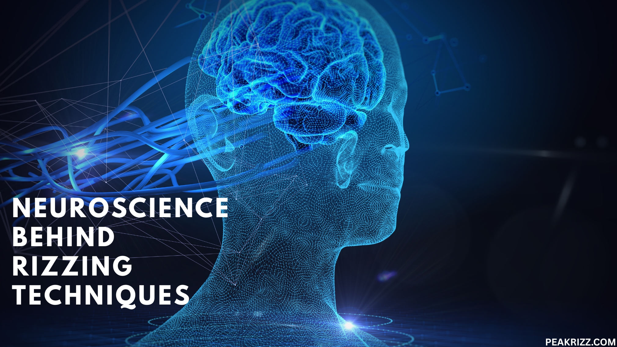 Neuroscience Behind Rizzing Techniques (1) Neuroscience Behind Rizzing Techniques