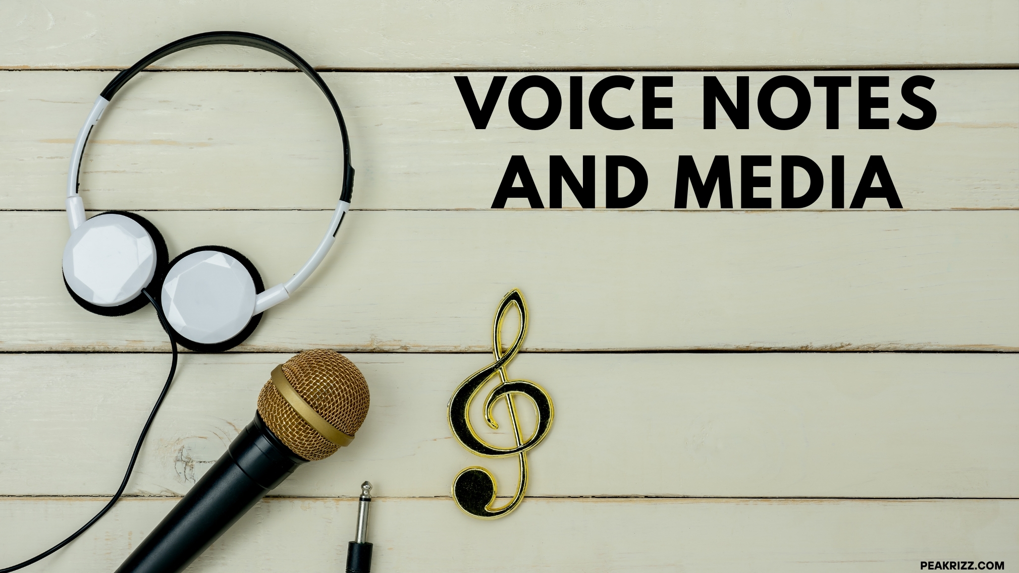 Voice Notes and Media