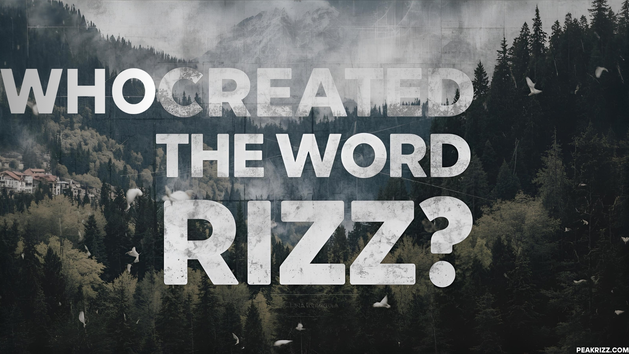Who created the word rizz?