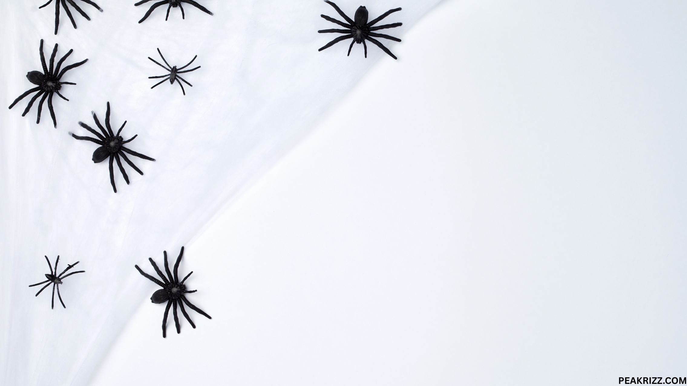 Master 111+ Spider Rizz Lines in 2025